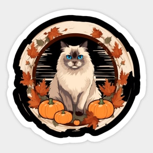 Birman Cat Halloween, Cat Lover Sticker